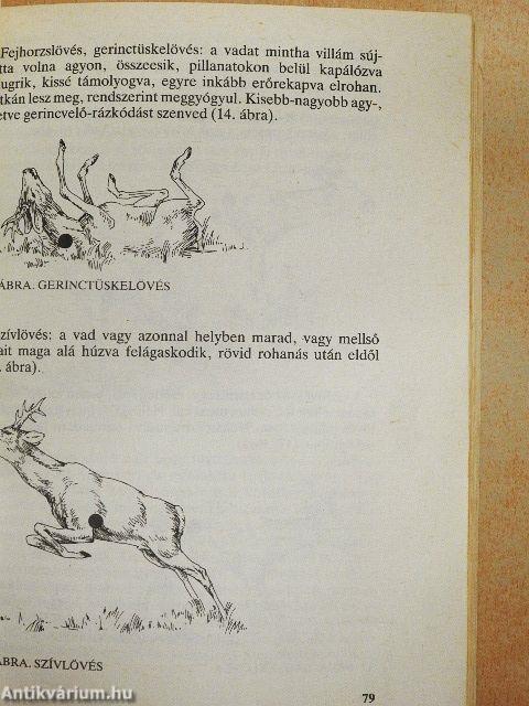 Vadászati alapismeretek