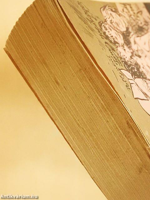 Tom Sawyer kalandjai/Huckleberry Finn kalandjai