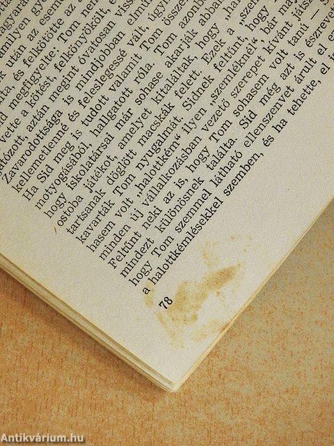 Tom Sawyer kalandjai/Huckleberry Finn kalandjai