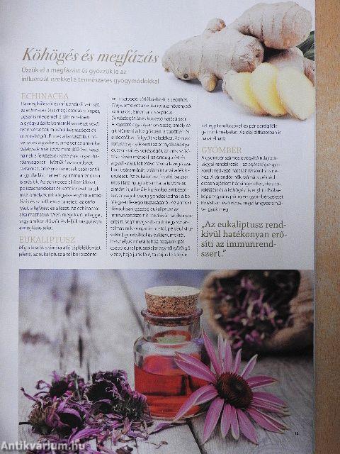Trend Bookazine - Természetes gyógymódok