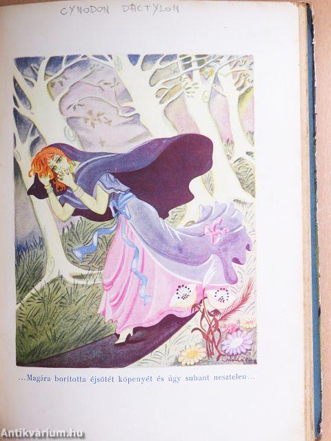 Hófehérke és a 7 törpe