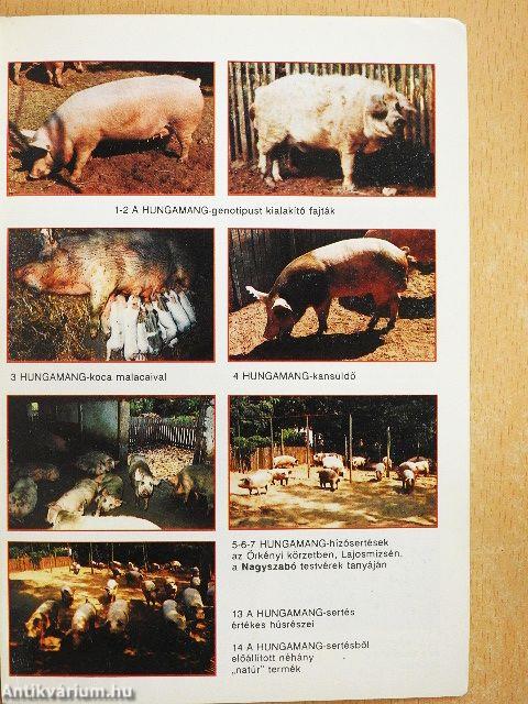 Biogazdálkodás, környezetvédelem