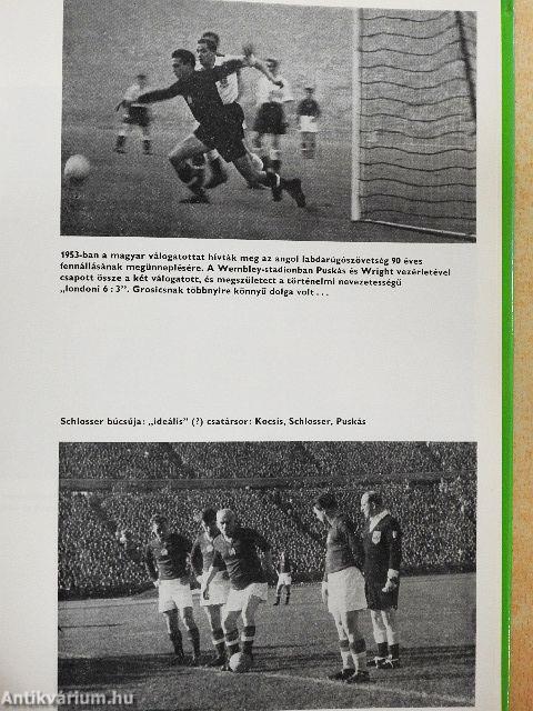 Labdarúgó világbajnokságok