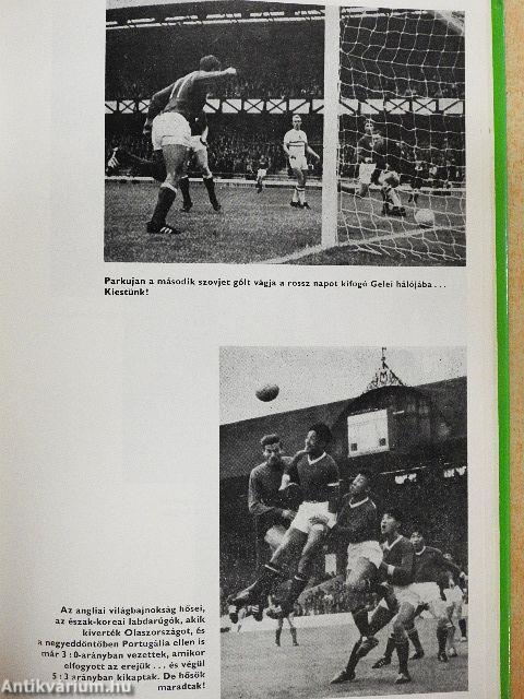 Labdarúgó világbajnokságok