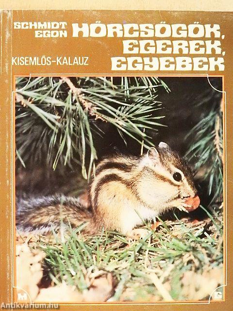 Hörcsögök, egerek, egyebek