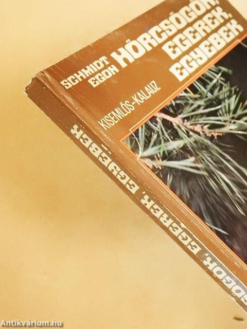 Hörcsögök, egerek, egyebek