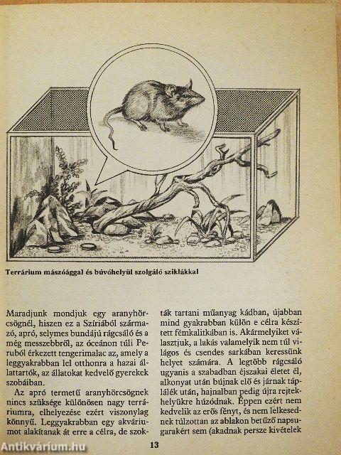 Hörcsögök, egerek, egyebek