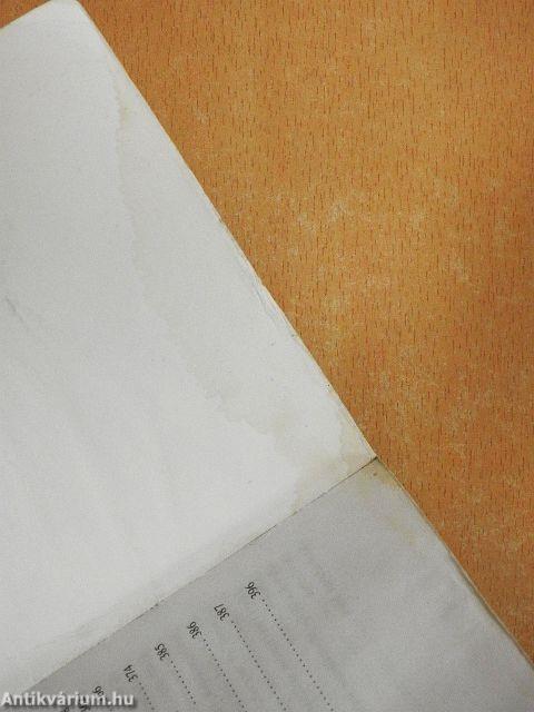 A recski tábor rabjai