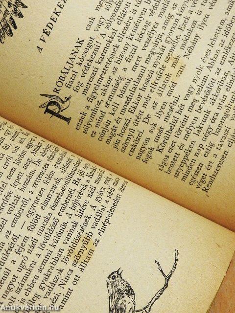 Egy természetbúvár feljegyzései