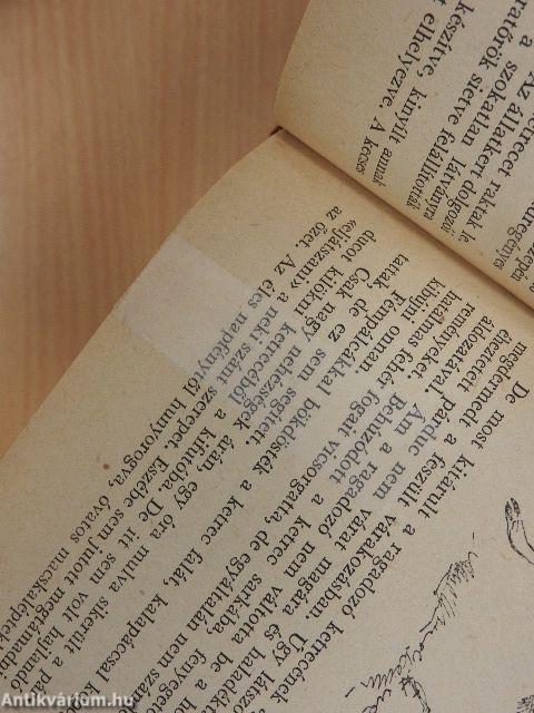 Egy természetbúvár feljegyzései