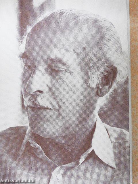 A harmónia keresése