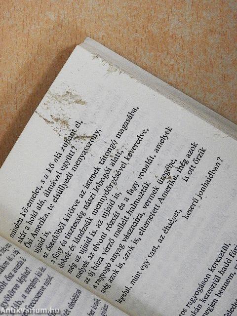 Hová mégy a nyárban?