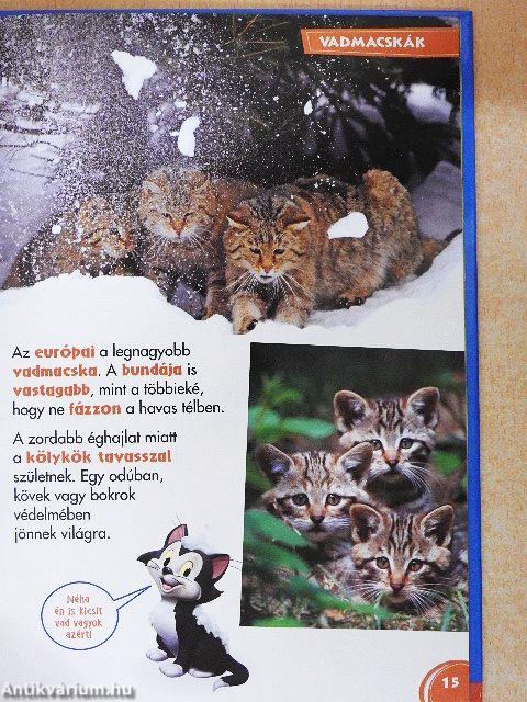 Disney Állati Szafari 44.