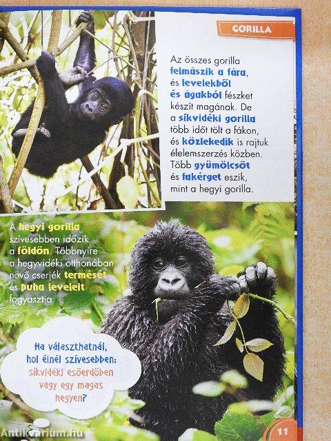 Disney Állati Szafari 54.