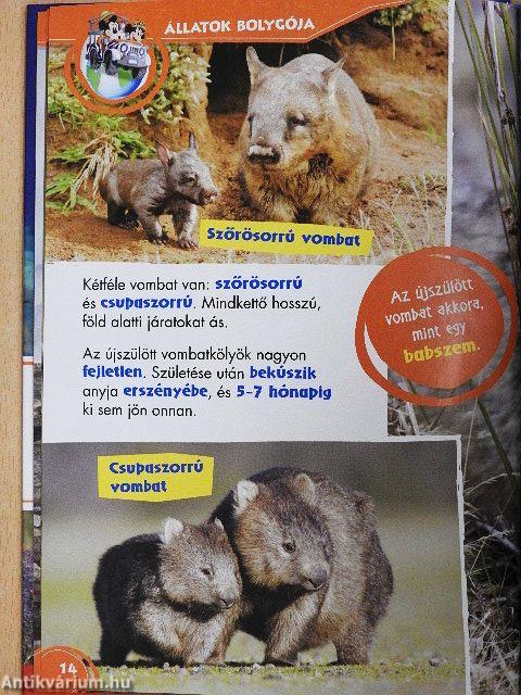 Disney Állati Szafari 53.