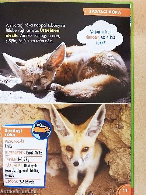 Disney Állati Szafari 47.