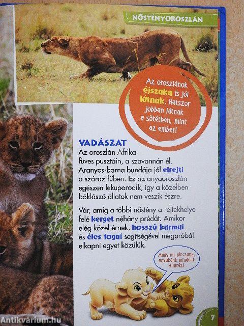 Disney Állati Szafari 24.