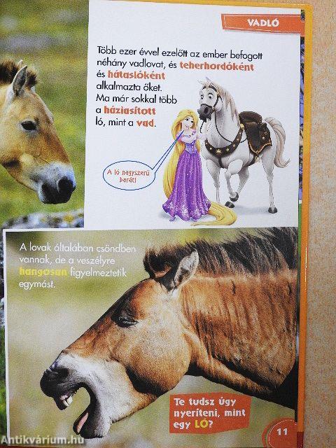 Disney Állati Szafari 25.