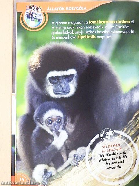 Disney Állati Szafari 23.