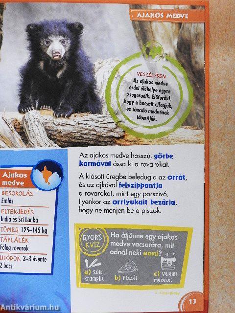 Disney Állati Szafari 48.