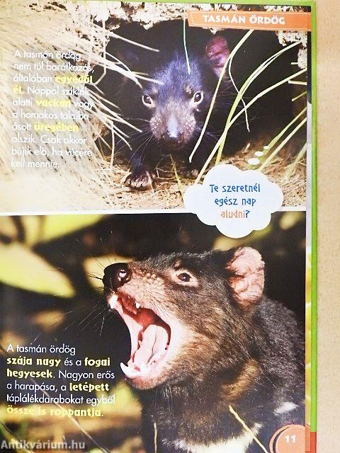 Disney Állati Szafari 32.