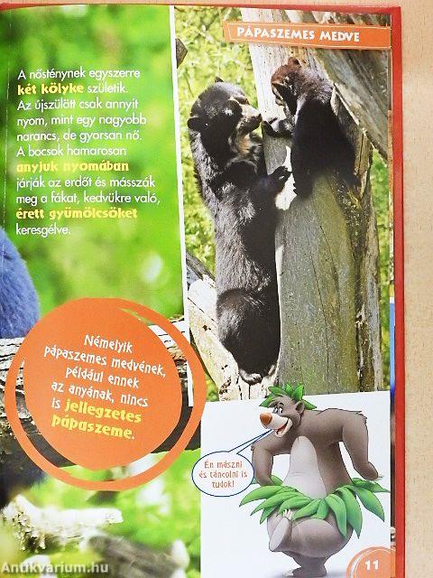 Disney Állati Szafari 31.