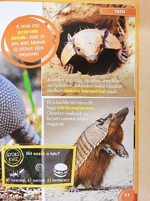 Disney Állati Szafari 30.