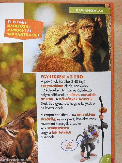 Disney Állati Szafari 28.