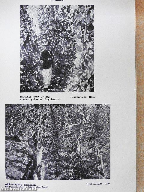 Erdőgazdasági alapismeretek