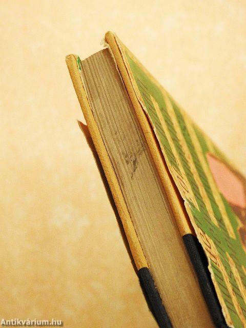 A tiszteletreméltó megyefőnök papucsa