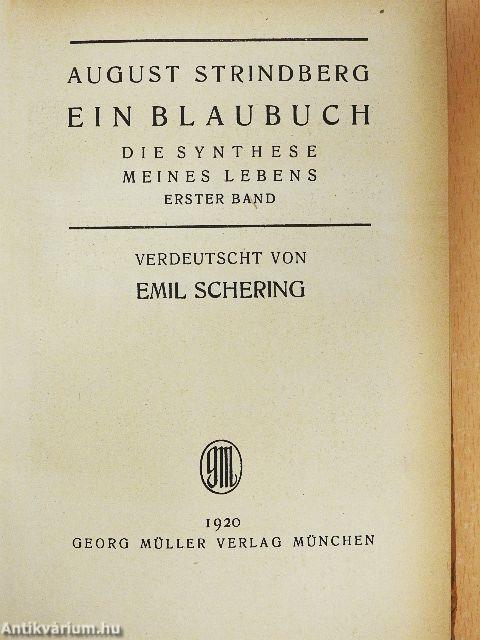 Ein Blaubuch I.
