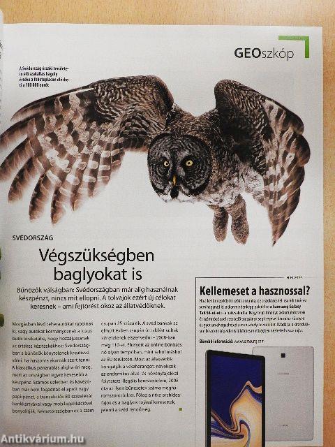 GEO 2018. december-2019. január