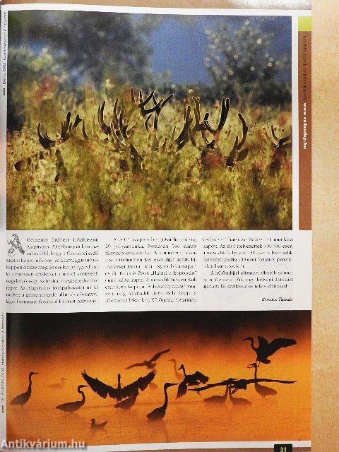 Magyar Vadászlap 2008. január