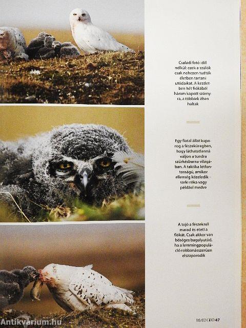 GEO 2016. (nem teljes évfolyam)