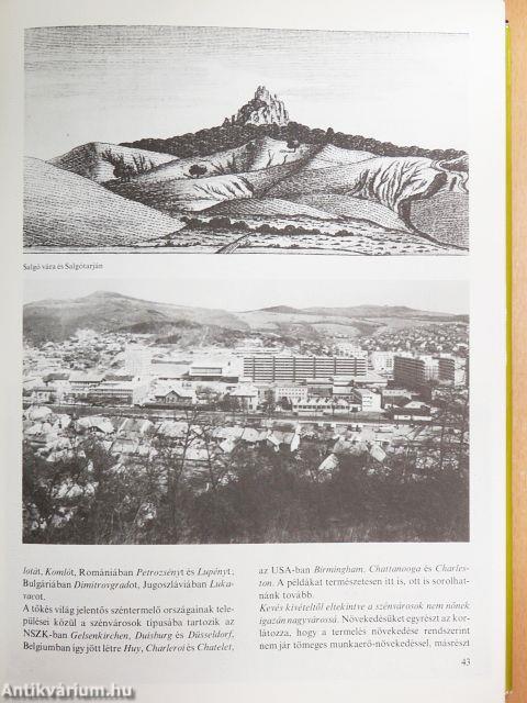 Minerva nagy képes enciklopédia 4.