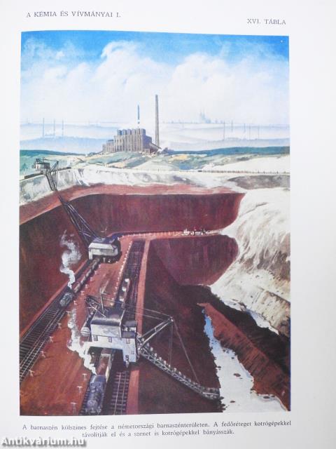 A természet világa I-X.