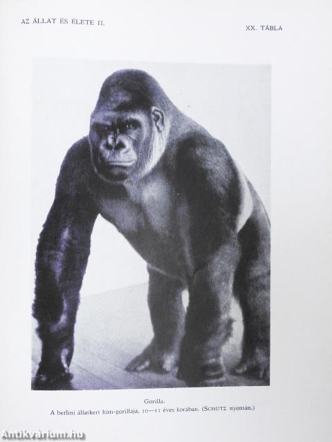 A természet világa I-X.