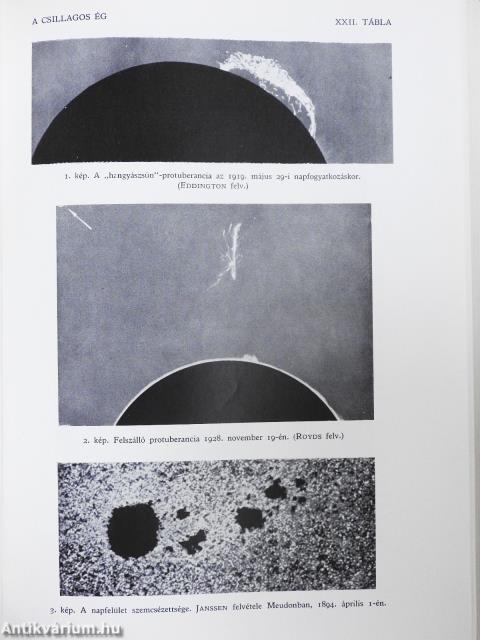 A természet világa I-X.