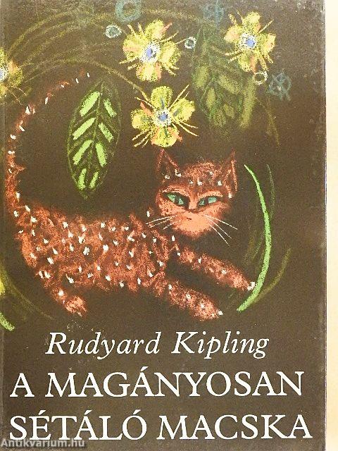 A magányosan sétáló macska