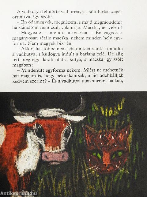 A magányosan sétáló macska