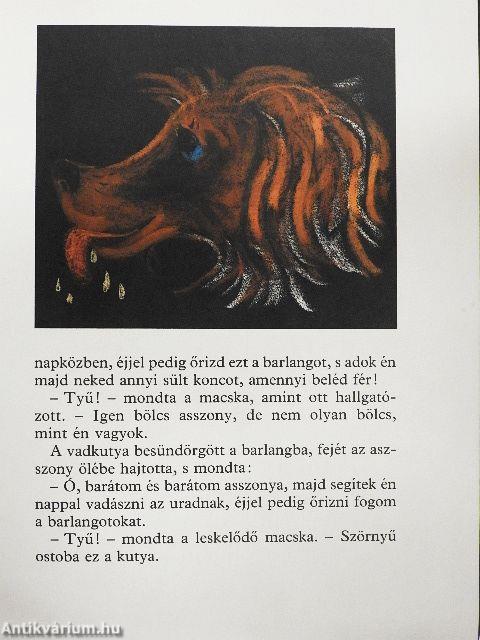 A magányosan sétáló macska