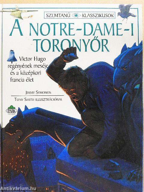 A Notre-Dame-i toronyőr