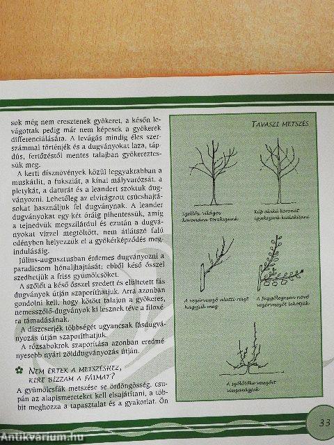 A kíváncsi kertész - DVD-vel