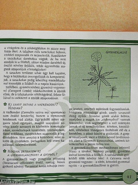 A kíváncsi kertész - DVD-vel