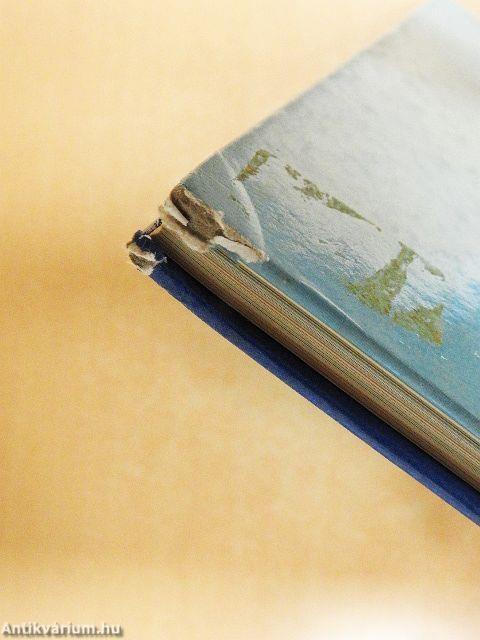 Játékos bip-enciklopédia