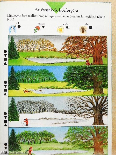 Játékos bip-enciklopédia