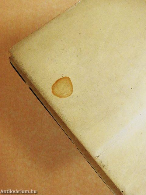 Modigliani szenvedélyes élete