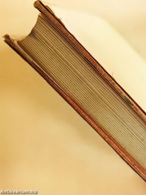 Modigliani szenvedélyes élete