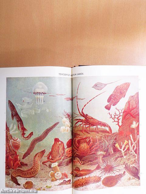 Révai nagy lexikona 1-21.