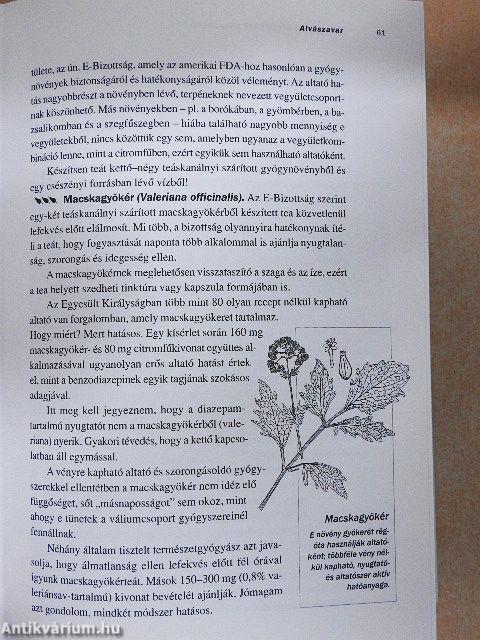 Gyógynövénypatika